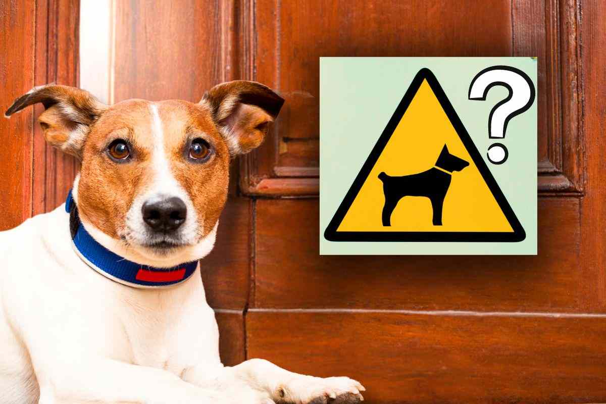Obbligatorietà cartello attenti cane cosa dice legge
