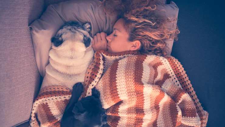 nuovo studio preoccupante dormi animale domestico