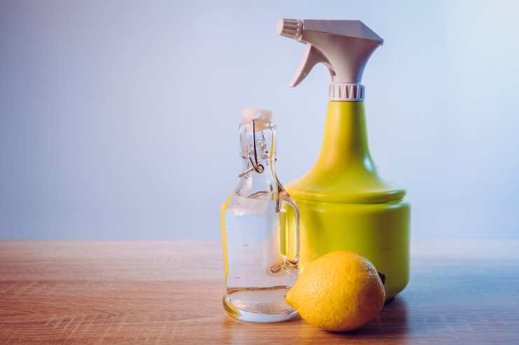 Spray fatto in casa pulizia cucina